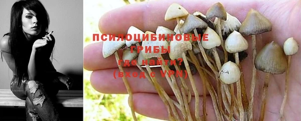 мескалин Аркадак