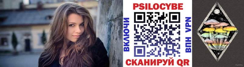 Псилоцибиновые грибы Psilocybe  где можно купить наркотик  Мамоново 